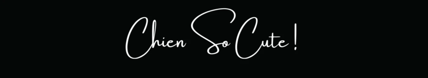 Banner image of Chien So Cute