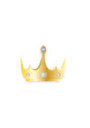 Banner image of T-Schoert Spass