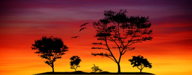 Banner image of agr212