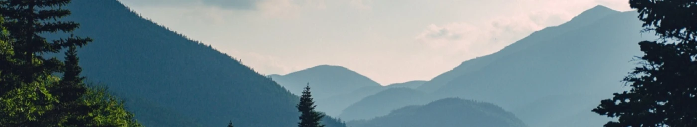 Banner image of 120178006