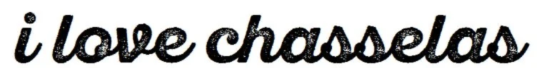 Bannerbild von perekramer