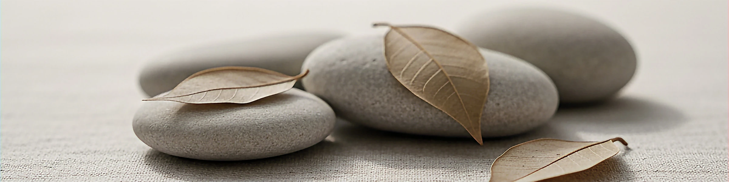 Banner image of Luddau