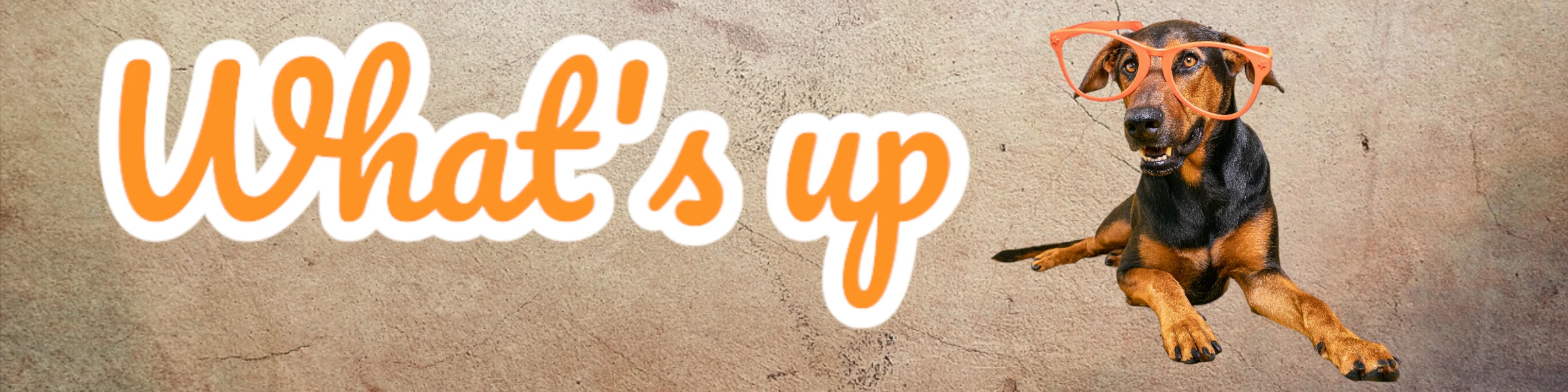 Banner image of Patrizia