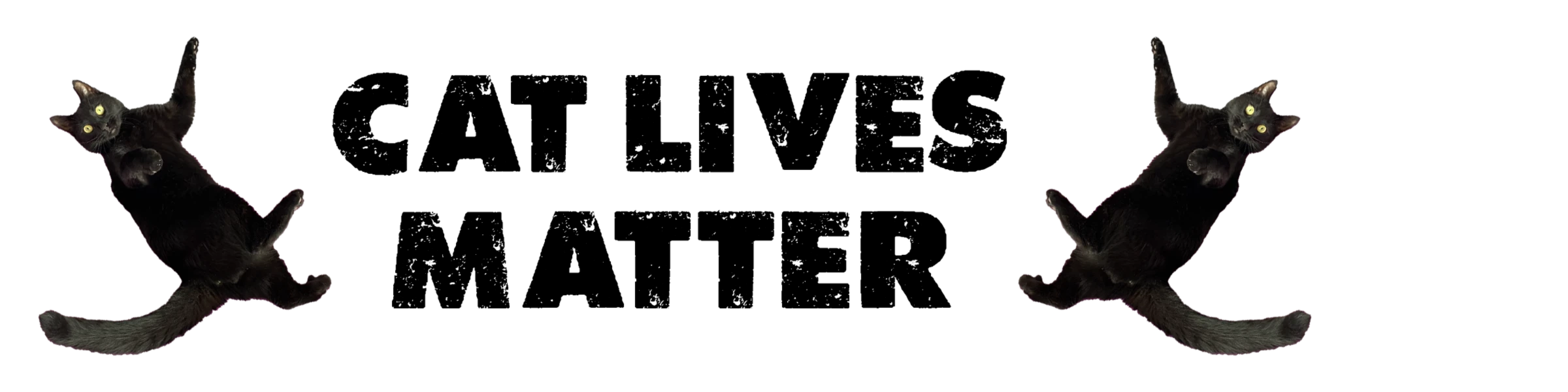 Banner image of Catlivesmatter