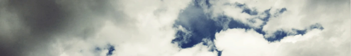 Banner image of TeaOBees