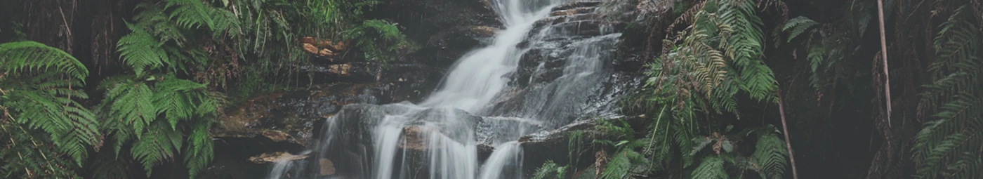 Banner image of ZittyBees Art