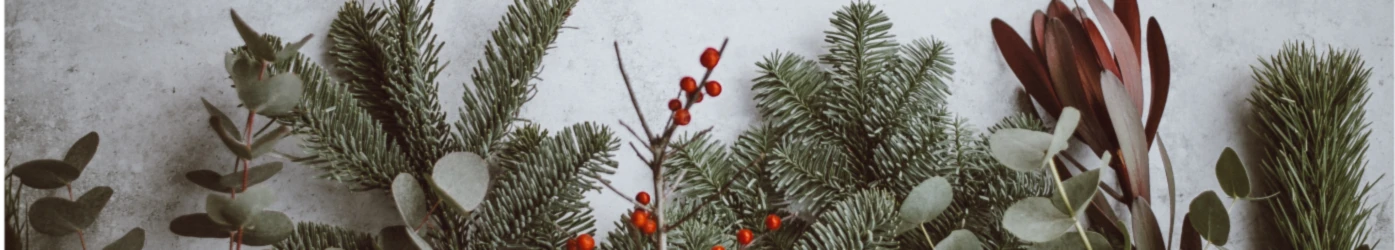 Banner image of Pleinair