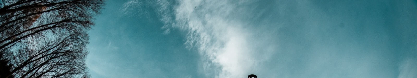 Banner image of Indeedfit