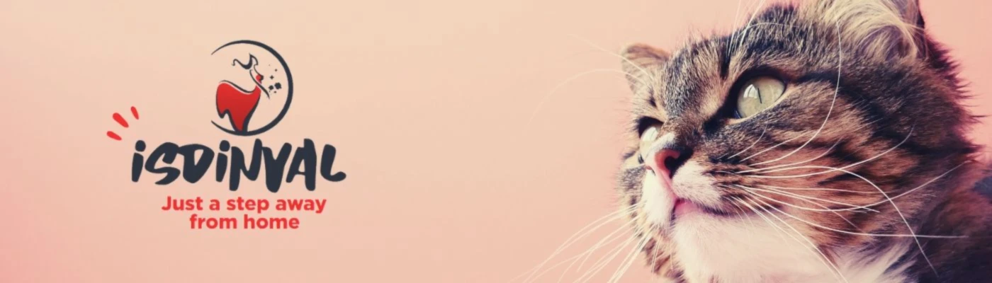 Banner image of Isdinval