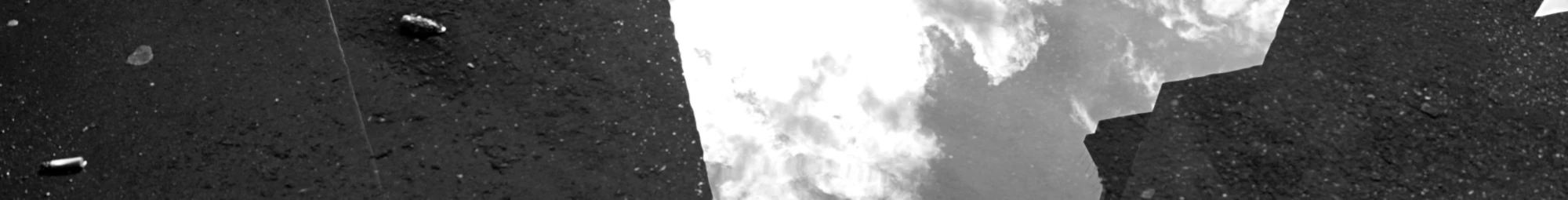 Banner image of Blackbean