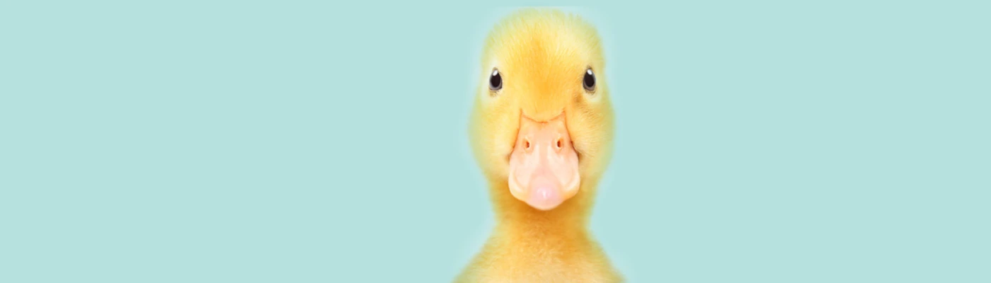 Banner image of KWAAAK