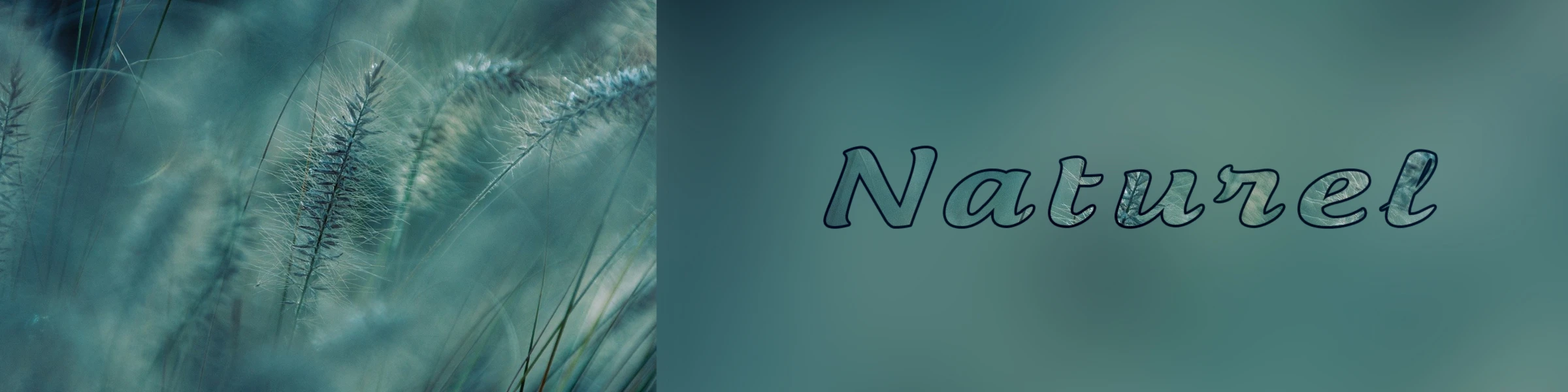 Banner image of JLuc2908