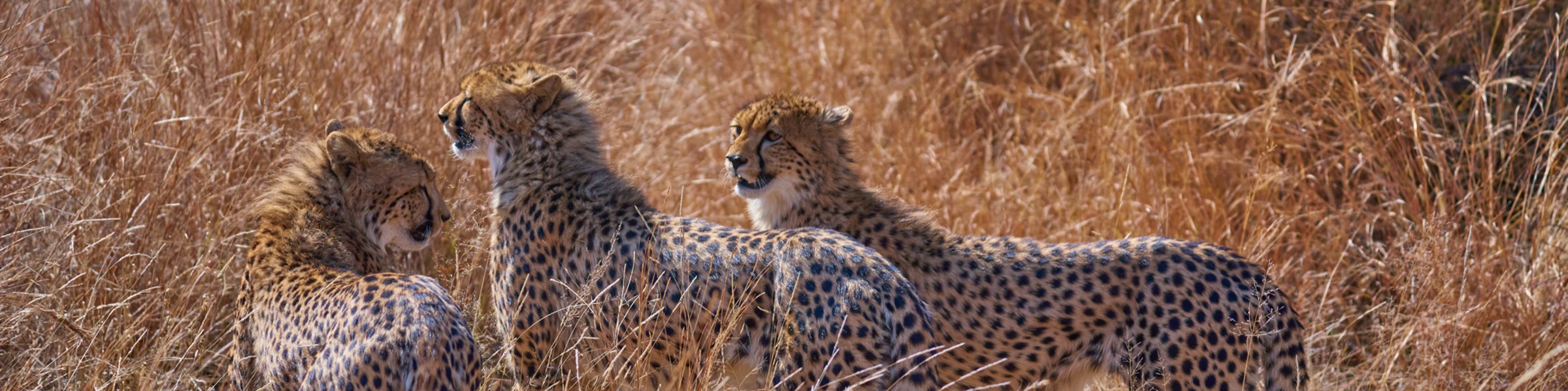 Banner image of Uwe Michael Neumann Photos