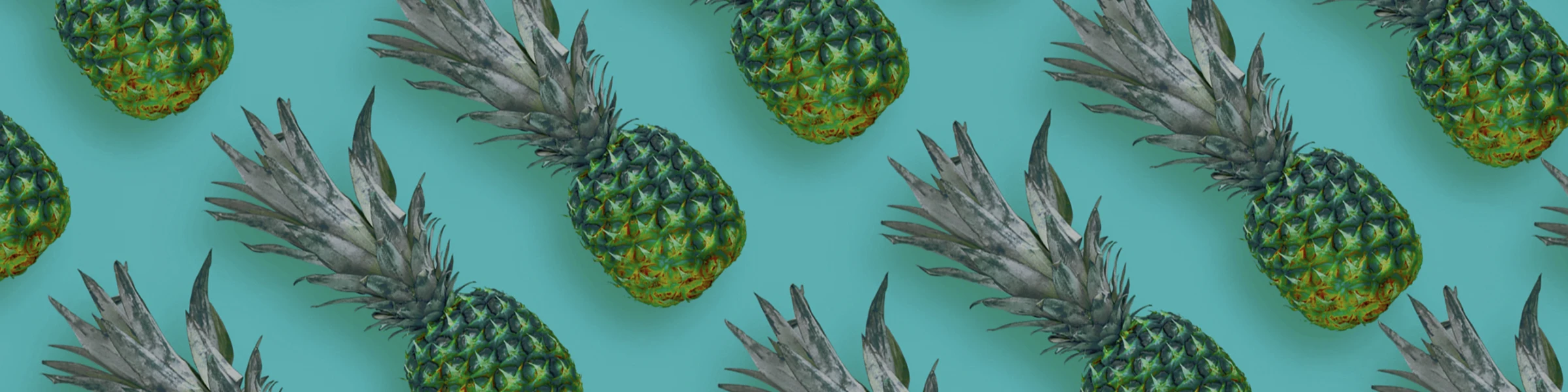 Banner image of Lauantaikeikka Oy