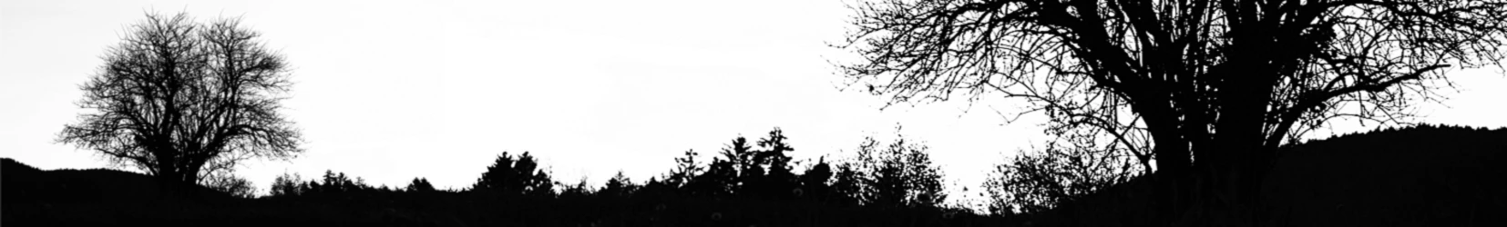 Bannière de Matthias Egger