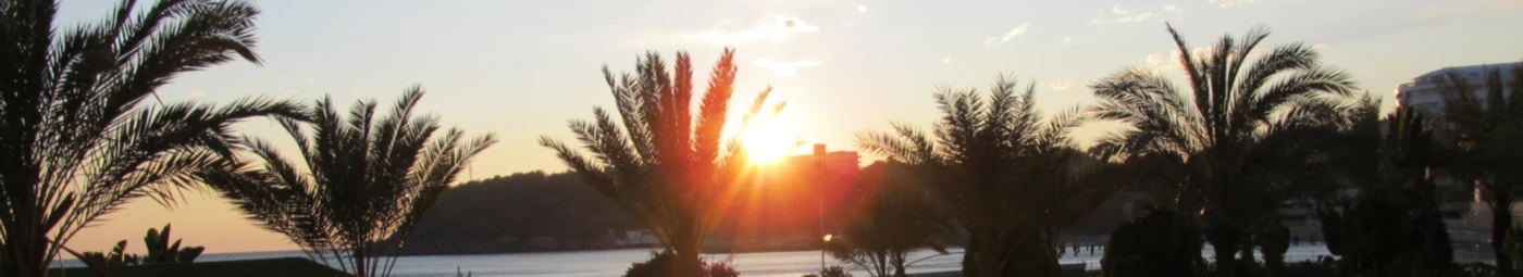Banner image of shisha554