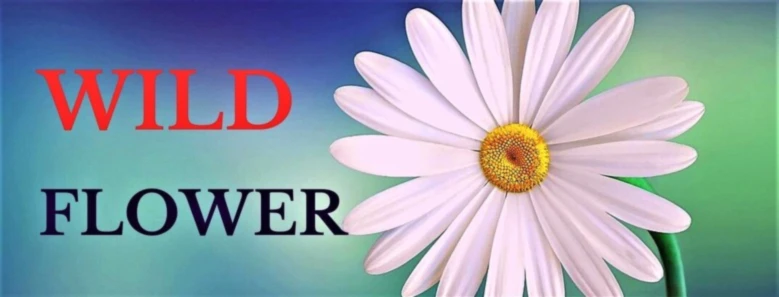 Banner image of Wild Flower