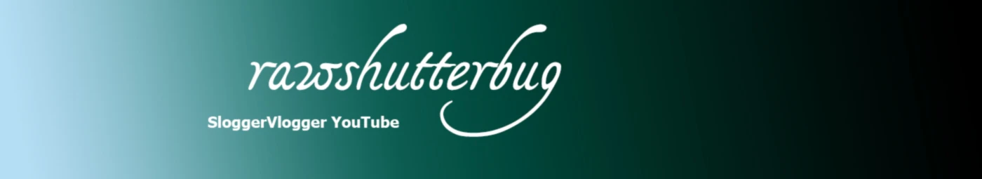 Banner image of SloggerVlogger Merch