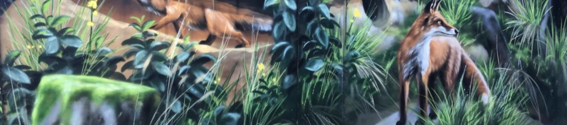 Banner image of The grey Cityfox