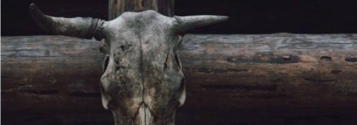 Bannière de StyleR5