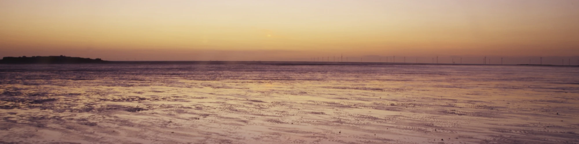 Banner image of neon-light