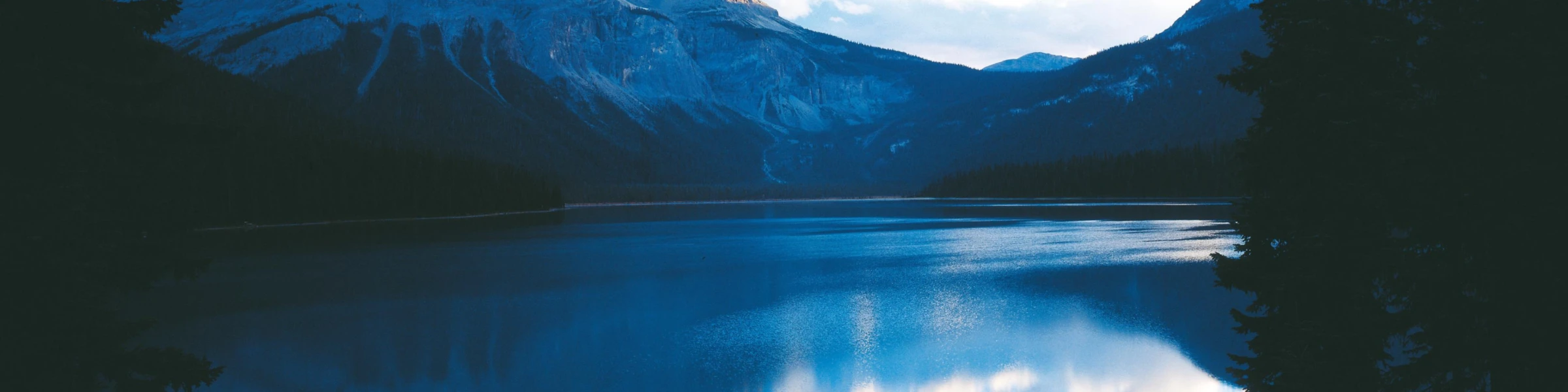 Banner image of CeasarBratz