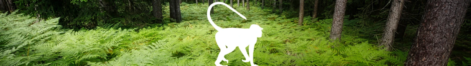 Banner image of frdesign