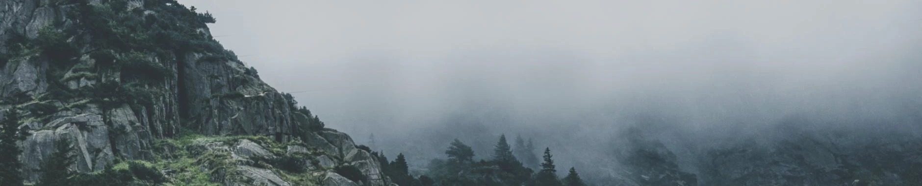 Banner image of DOOGI Designs