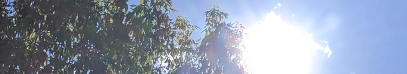 Bannière de Juggerz