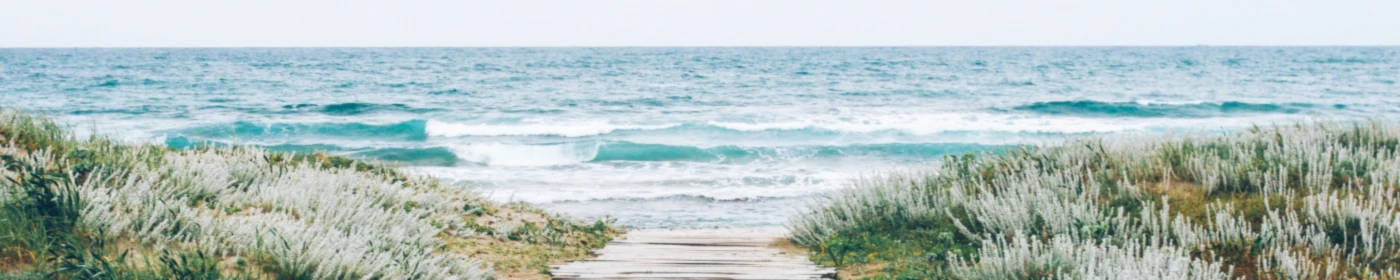 Banner image of be present