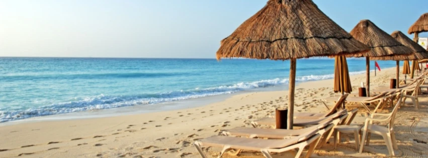 Banner image of miukida