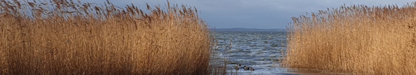 Banner image of Meer-Lifestyle