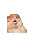 H.und.N