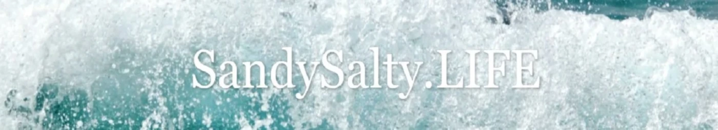 Bannerbild von SandySalty.LIFE
