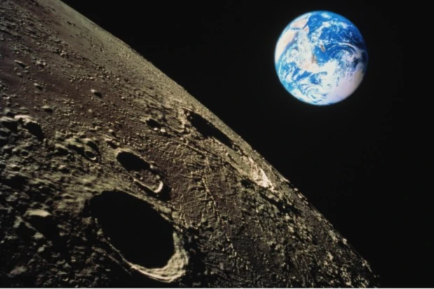 Banner image of Leaf Styles