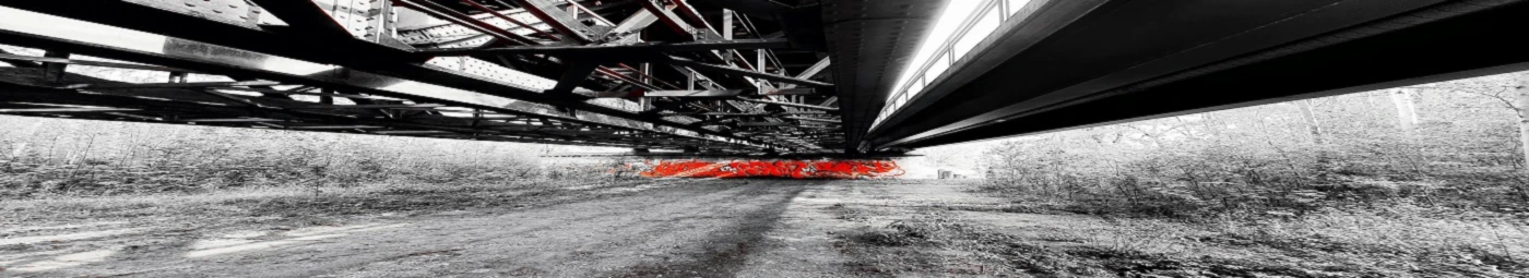 Banner image of CRIEM