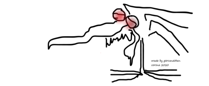 Banner image of jay jay 123