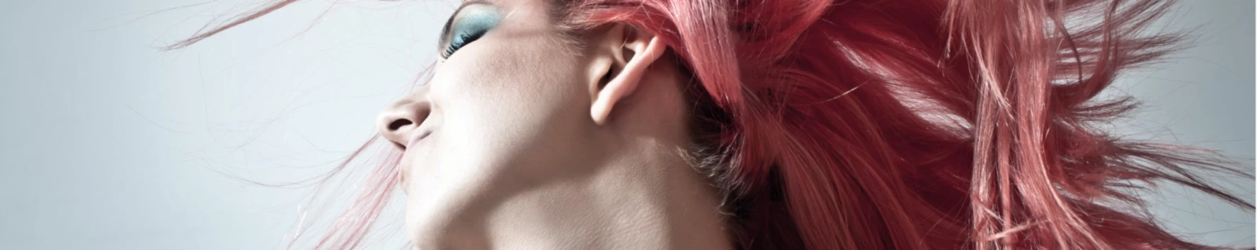 Bannerbild von RocNRol