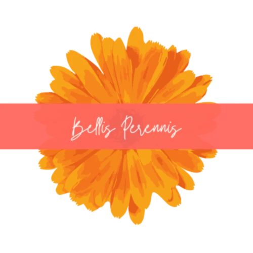 Bannerbild von Bellis Perennis Branding