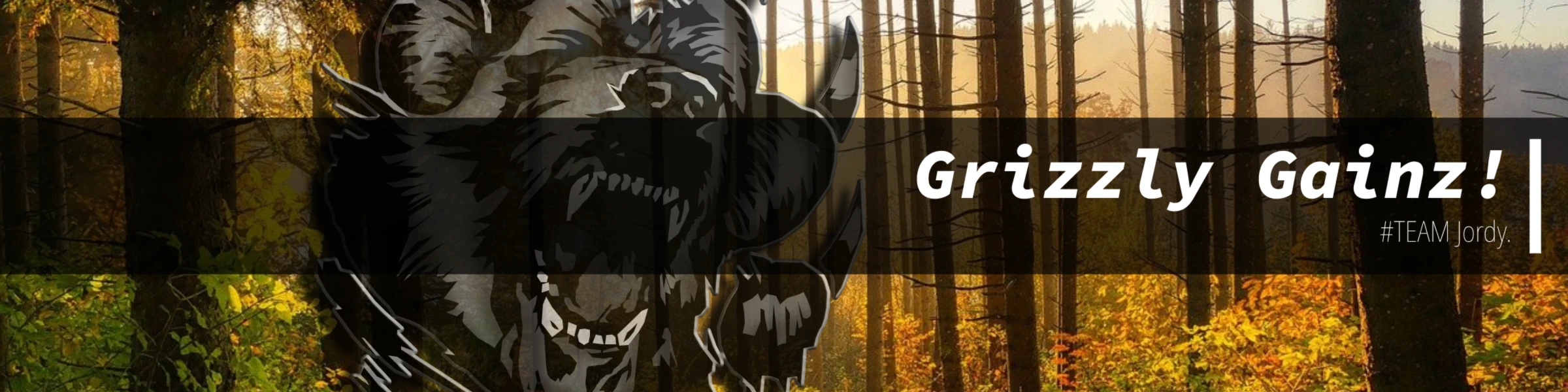 Bannerbild von GrizzlyGainz