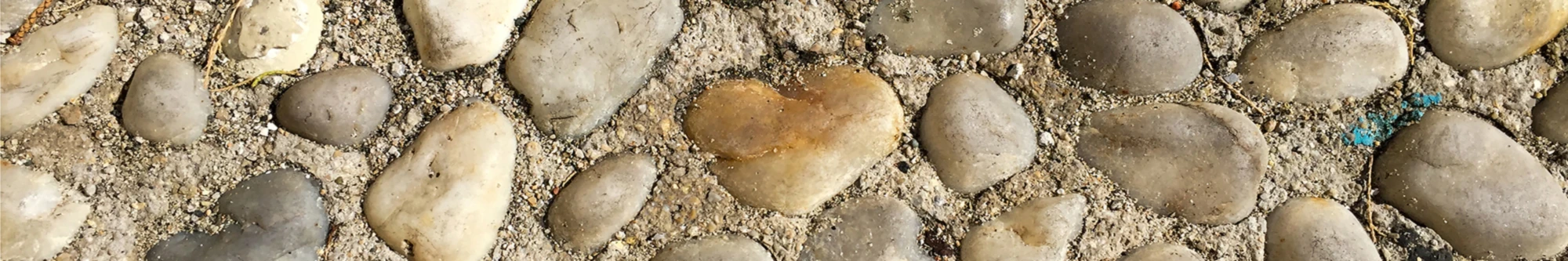Bannerbild von Sina Brinkmann