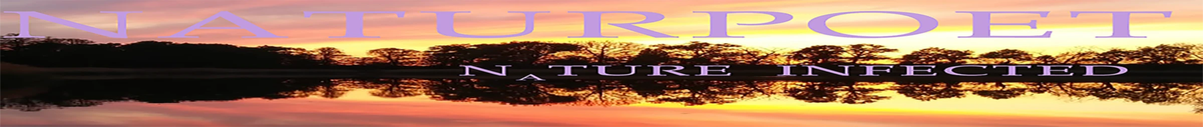 Bannerbild von Naturpoet