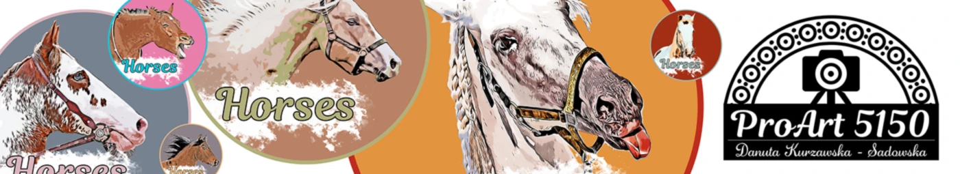 Banner image of ProArt 5150 Danuta Kurzawska-Sadowska