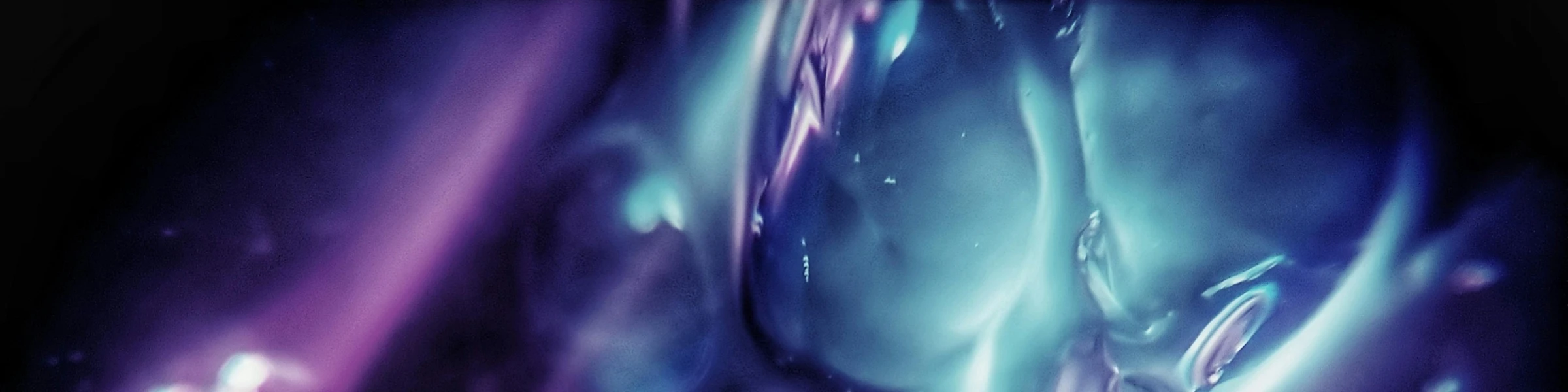 Bannière de Laughingseagull