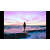 120931785