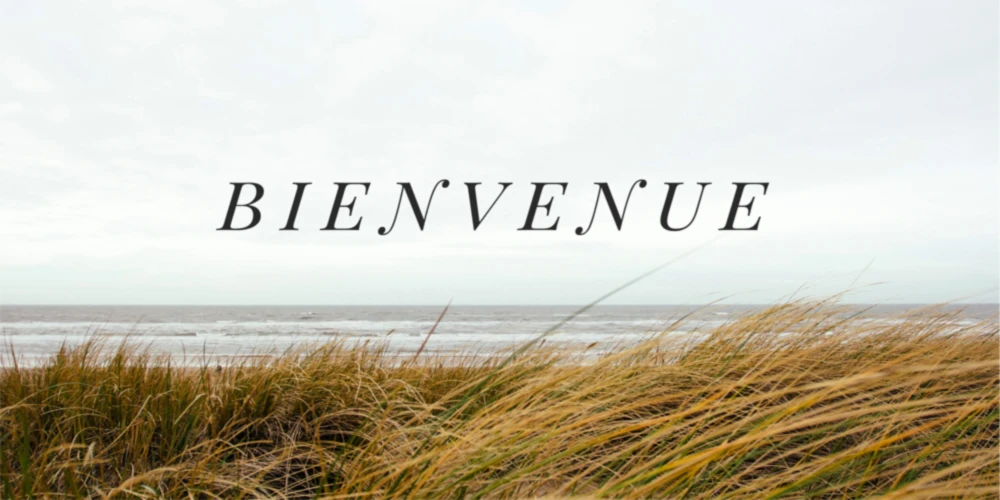 Banner image of LES CHUCHOTEMENTS