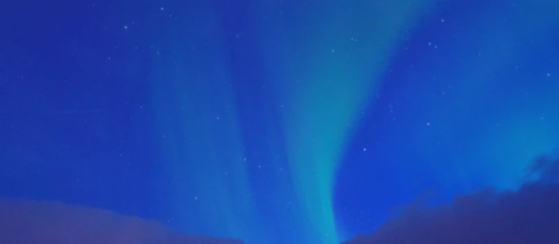 Bannière de The Beautiful Company