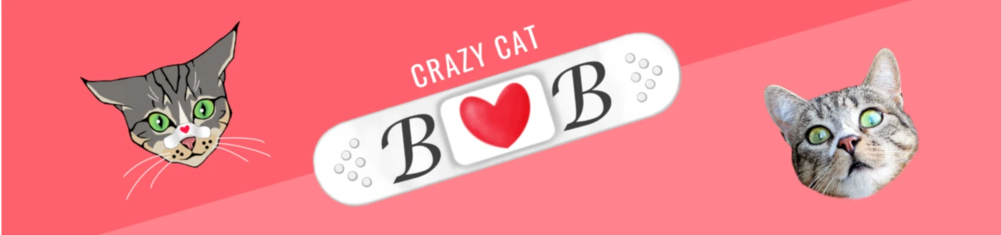 Bannière de BebeCrazycat