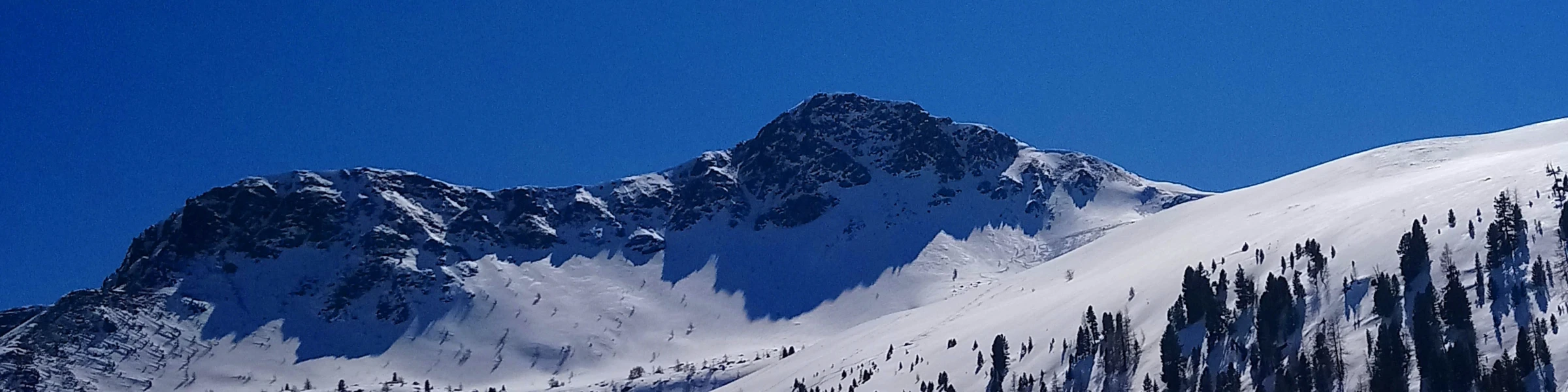 Banner image of Gertraud Lankmayr