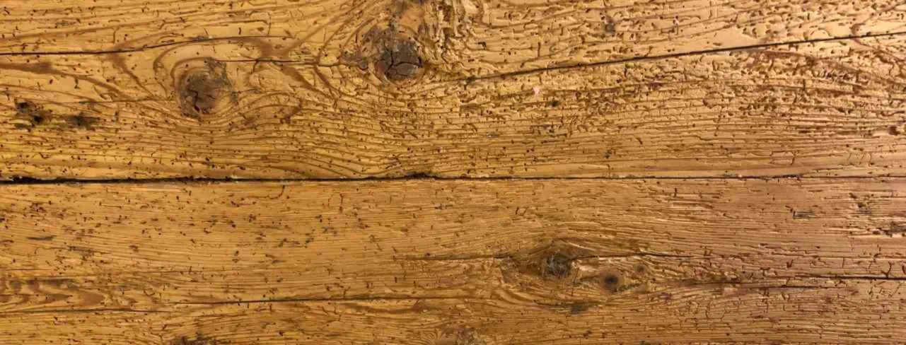 Banner image of Agric Stories